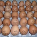 포항"캘리그라피-달걀에 쓴 글씨 이미지