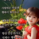 꽃피는하루