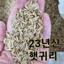 토종서리태.백태,통녹두.찰흑미.수수.청차조~(23년산 찰보리,늘보리,귀리 ) 이미지