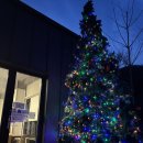 가평 봄 키즈 스파 가족 펜션 | [가평카라반]깨끗하고 조용한 신축카라반 1박 후기 계곡에풍덩펜션캠핑장