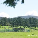 너른초원 이미지