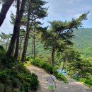 더미량(THE MIRYANG) 이미지