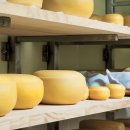 법도목장 이미지