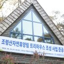 톰소여의 모험 이미지