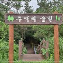 노을숲제주 이미지