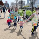 STAY 봄날에 서면 | 봄날의 교토, 오사카