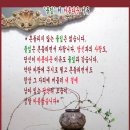 애♥풀잎