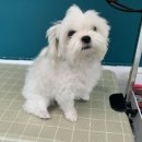 킨더그루밍 이미지