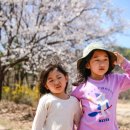 황방농원 캠핑장 이미지