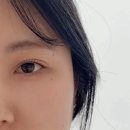 대전 탄방동 속눈썹펌 잘하는곳 [솔브로우] 3번째 방문후기