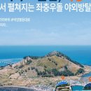 비양도편의점