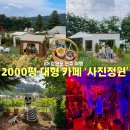 황골로 | 강원도 원주 대형 카페 사진정원 2000평 포토존 할로윈 귀신의집 방문 후기