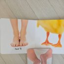 돌아기 전집 추천 인지책 잼잼북 당근 득템 책육아 솔직 후기
