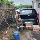 서울이용소 이미지