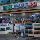 속초 대포항 물회 전문점 &#39;대포전복양푼물회&#39; 후기[강원도-속초]