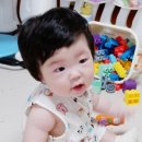 서문상회 이미지