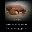 (사행시)부위정경 이미지