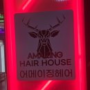 플러스애견미용실 | [구로]오류동 미용실 추천, 어메이징 판타스틱점 커트, 펌 만족 후기