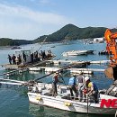 국립공원관리공단 한려해상국립공원동부사무소 이미지