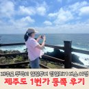 녹색체험마을 화장실 | 제주도 뚜벅이 여행 버스 원데이 투어 당일치기 제주도1번가 동쪽코스 후기