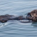 몽글몽글 이미지