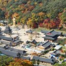 속리산둘레길 순환구간 | 보은 속리산 능이칼국수 능이백숙 맛집(능이버섯 효능) 및 보은 관광 및 나들이 장소 추천