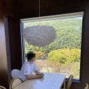 트릴 이미지