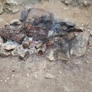 연화농원 이미지