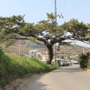 성북우체국 이미지