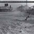 횡계의원 이미지