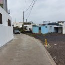 표선리-11 이미지