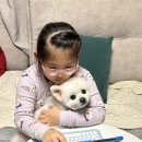 은쌤동물병원 이미지