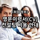 CV컨설팅 이미지