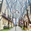 용인 보정동 카페거리 초밥 스시율과 카페 이프아이엔지