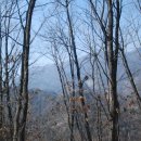 기봉농장 이미지