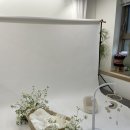 더 멜즈 50일 촬영 내돈내산 후기