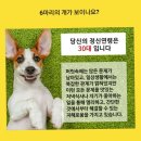 정신