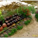 야생화펜션 이미지