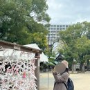 [엄마랑 일본 여행 3탄] 벳푸 스기노이 호텔/후쿠오카 스미요시 신사/라쿠스이엔