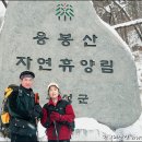 여관 이미지