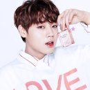 워너클린 이미지