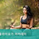 메디플라이