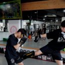 태장청학복싱&무에타이 이미지