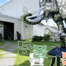 소촌아트팩토리 | #광산구 #소촌아트팩토리 #동물원가는 길