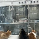 펫츠올 동물의료원 이미지