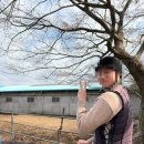 두번째 애월 | 제주 애월 승마체험 더홀스승마센터 솔직후기 (가격,코스 , 아쉬웠던 점)