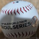 (유)스카이 투어 이미지