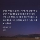 낙동강 오리알 시점 너무 좋다!!!!!! 이미지