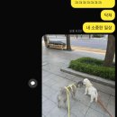 풍산권투체육관 이미지