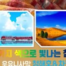 브이아이피여행사 네이버블로그